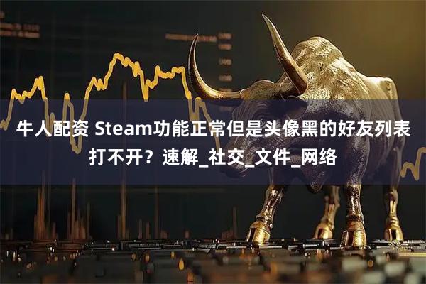 牛人配资 Steam功能正常但是头像黑的好友列表打不开？速解_社交_文件_网络